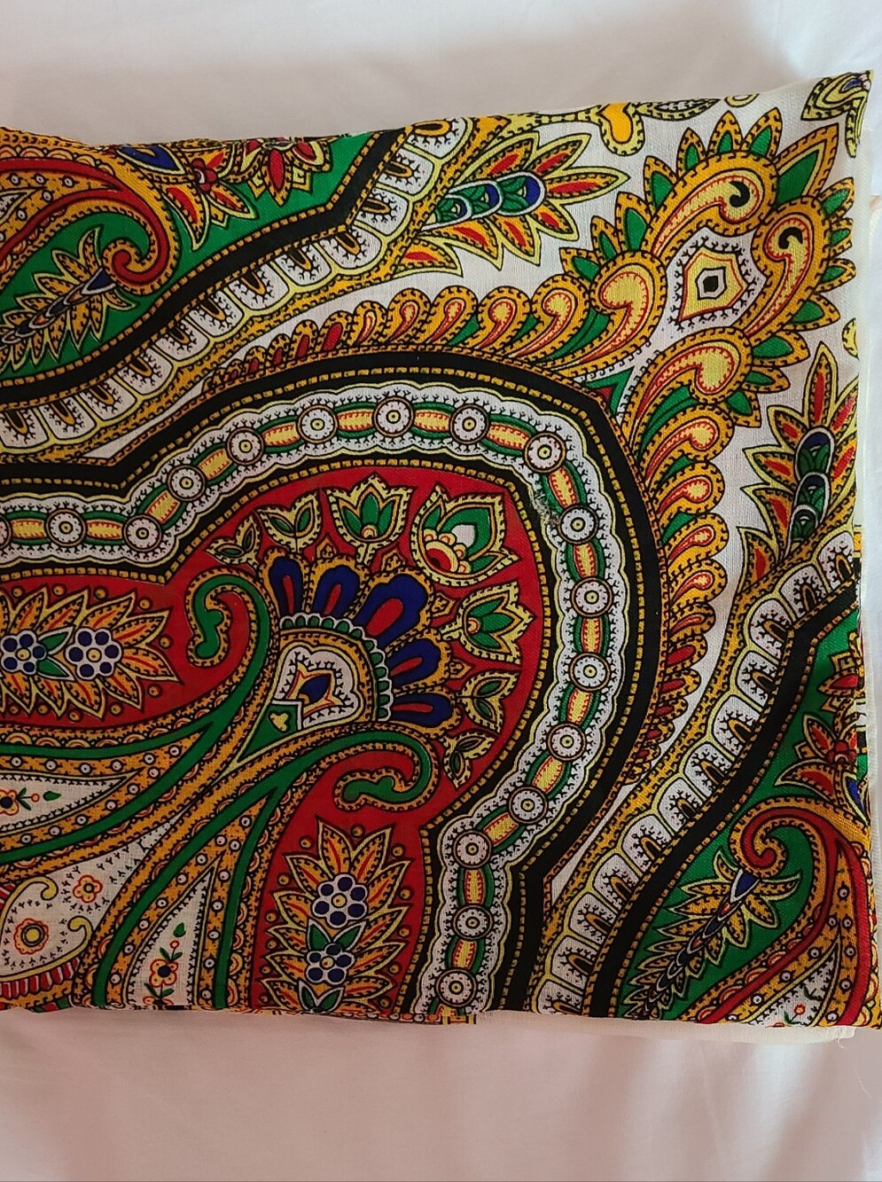 Decorative Paisley Wool Shawl- Multicolor
